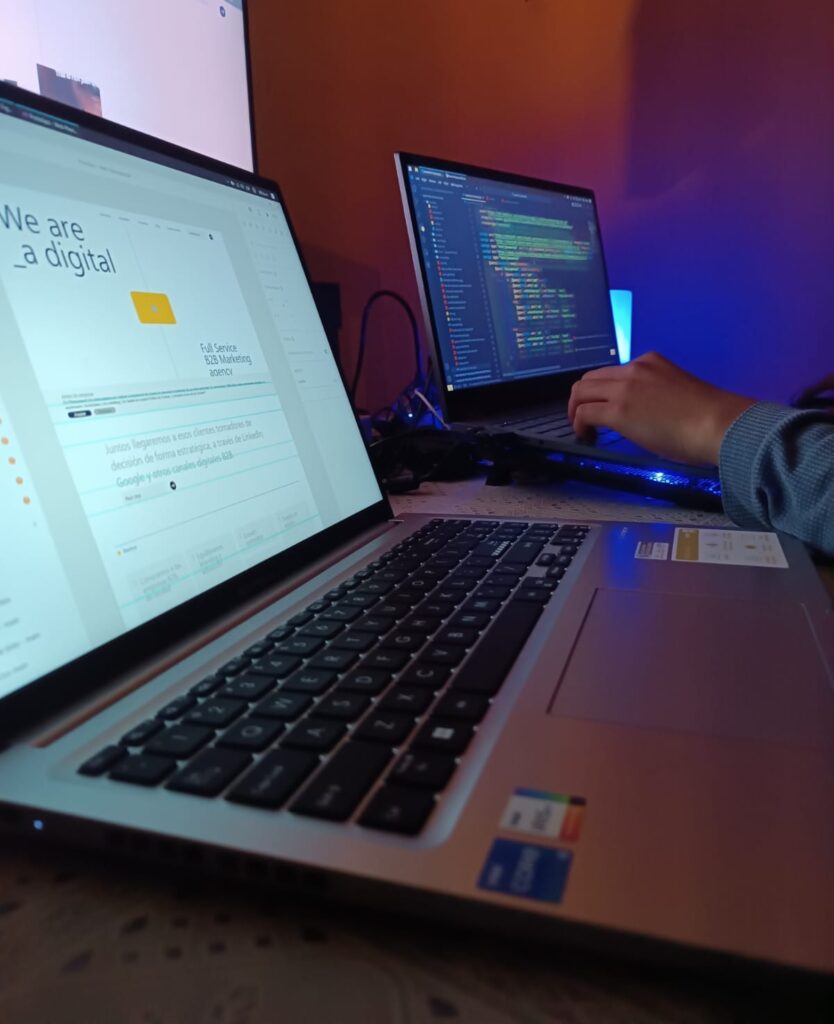 Servicios de Diseño web con Raul Pineda